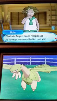 tropius hd wallpaper