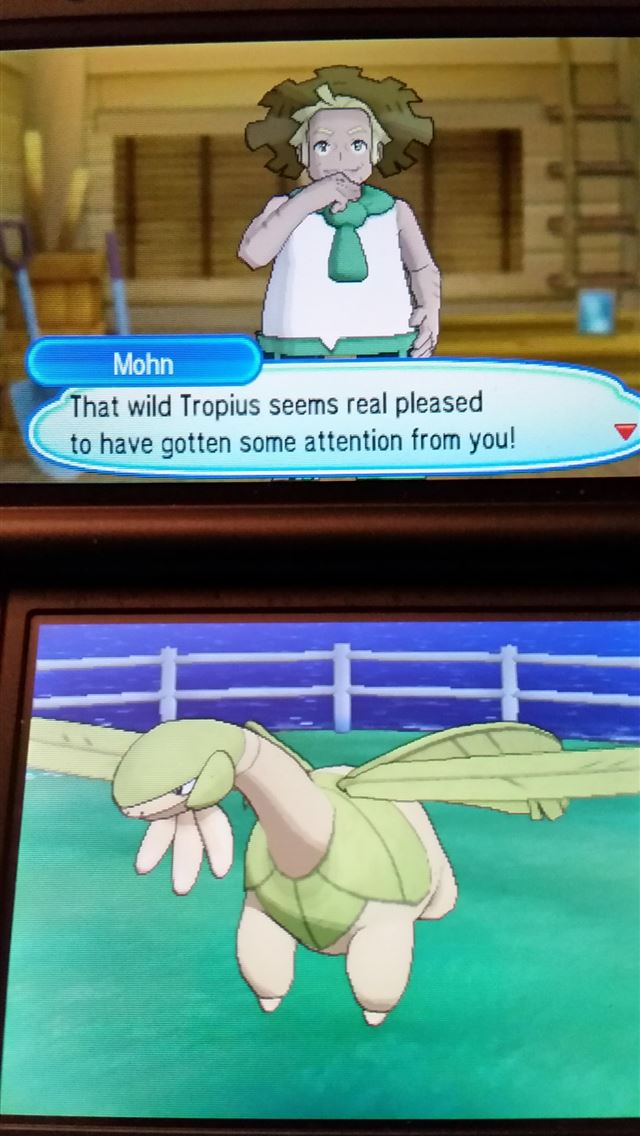 1284x2778 tropius hd - tropius hd iPhone Wallpaper