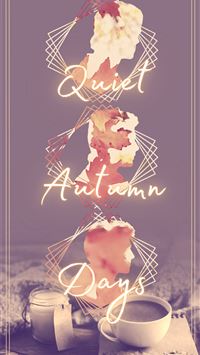 raticate hd wallpaper