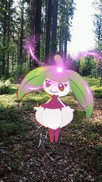 steenee hd wallpaper