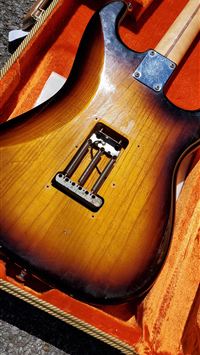 steenee hd wallpaper