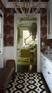 zebra fish wallpaper