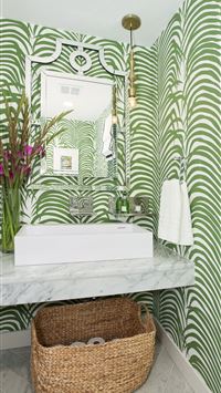 zebra fish wallpaper