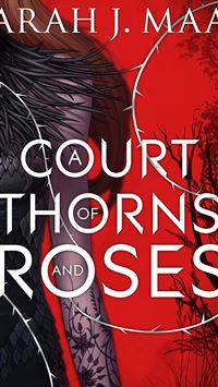 silver linings playbook wallpaper