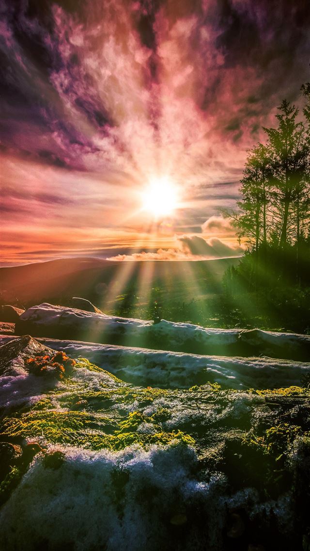 1284x2778 ireland flag - ireland flag iPhone Wallpaper