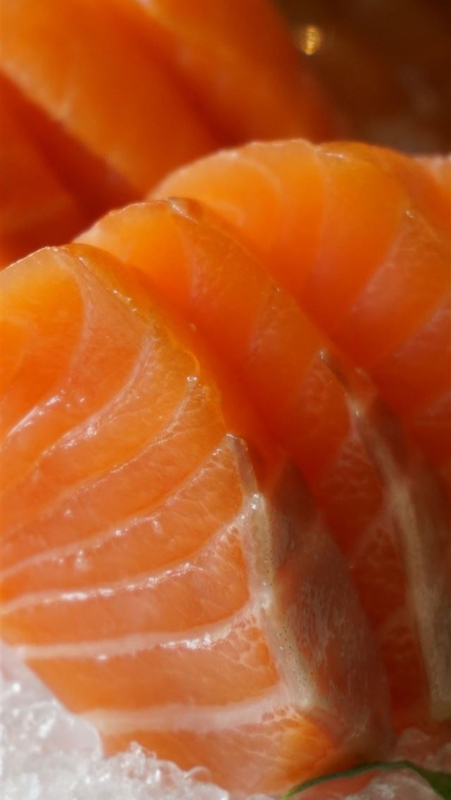 1284x2778 salmon fish - salmon fish iPhone Wallpaper