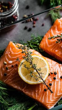 salmon fish wallpaper