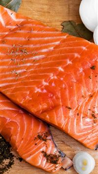 salmon fish wallpaper
