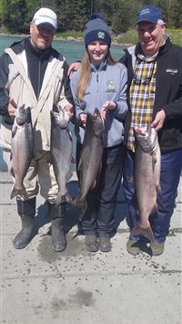 salmon fish wallpaper