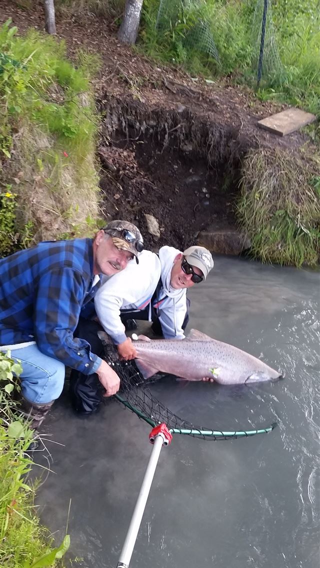 1284x2778 salmon fish - salmon fish iPhone Wallpaper
