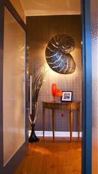 nautilidae wallpaper