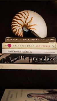 nautilidae wallpaper