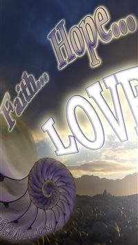 nautilidae wallpaper