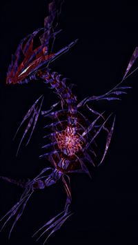 eternatus hd wallpaper