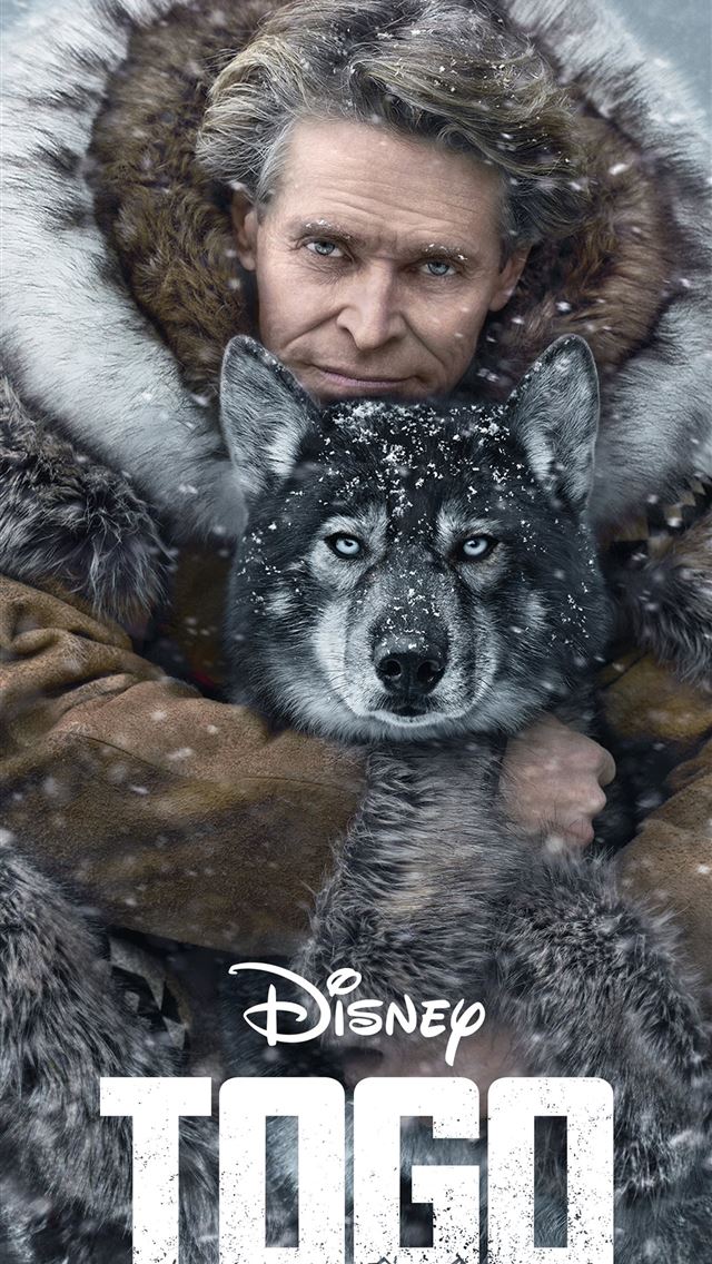 1284x2778 togo - togo iPhone Wallpaper