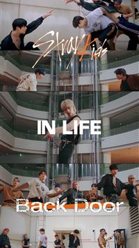 linoone hd wallpaper