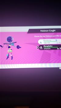 blacephalon hd wallpaper