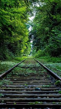 march equinox wallpaper