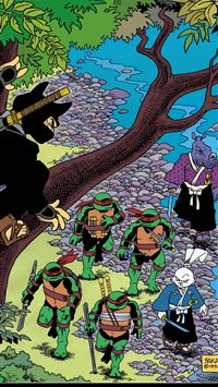 miyamoto usagi wallpaper