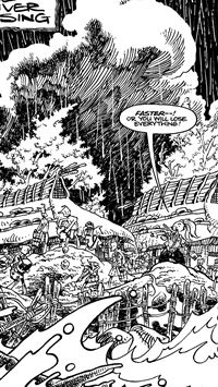 miyamoto usagi wallpaper