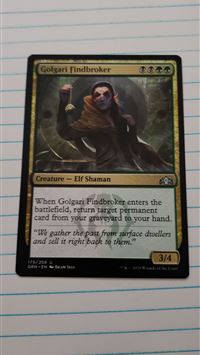 croagunk hd wallpaper