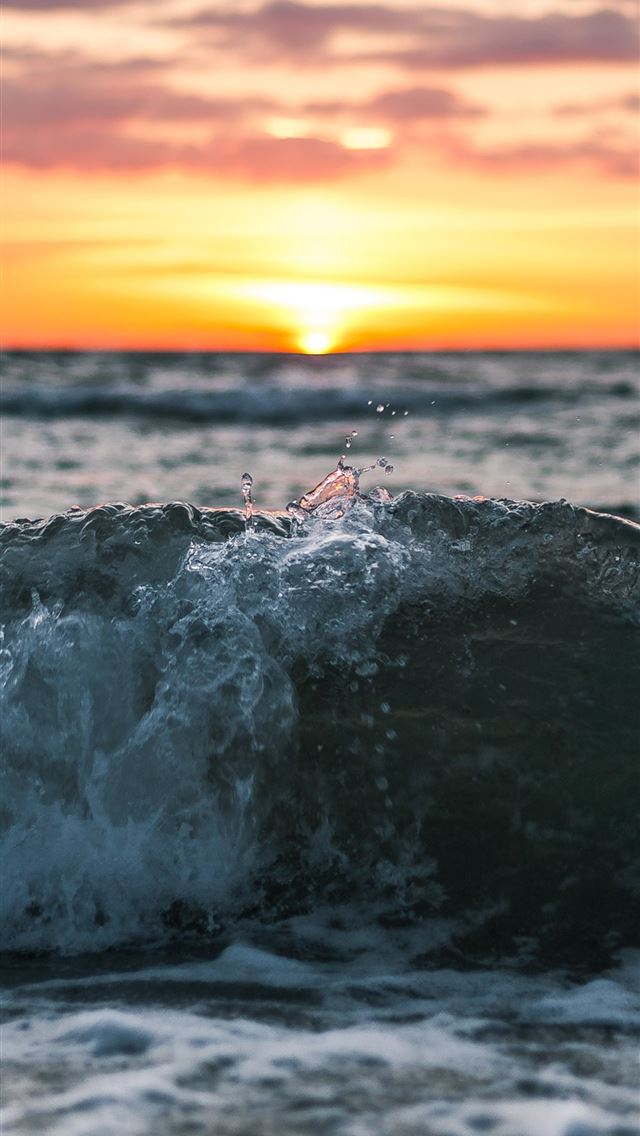 1284x2778 sangha - sangha iPhone Wallpaper