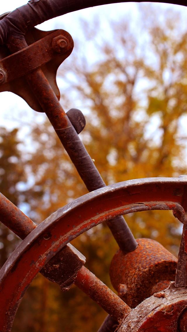 1284x2778 sangha - sangha iPhone Wallpaper