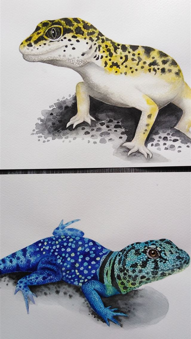 1284x2778 leopard lizards -  iPhone Wallpaper