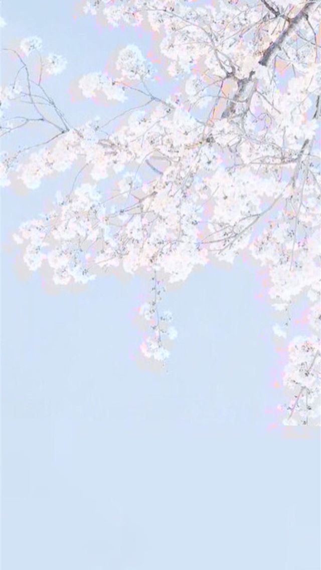 1284x2778 flapjackie fortnite - flapjackie fortnite iPhone Wallpaper