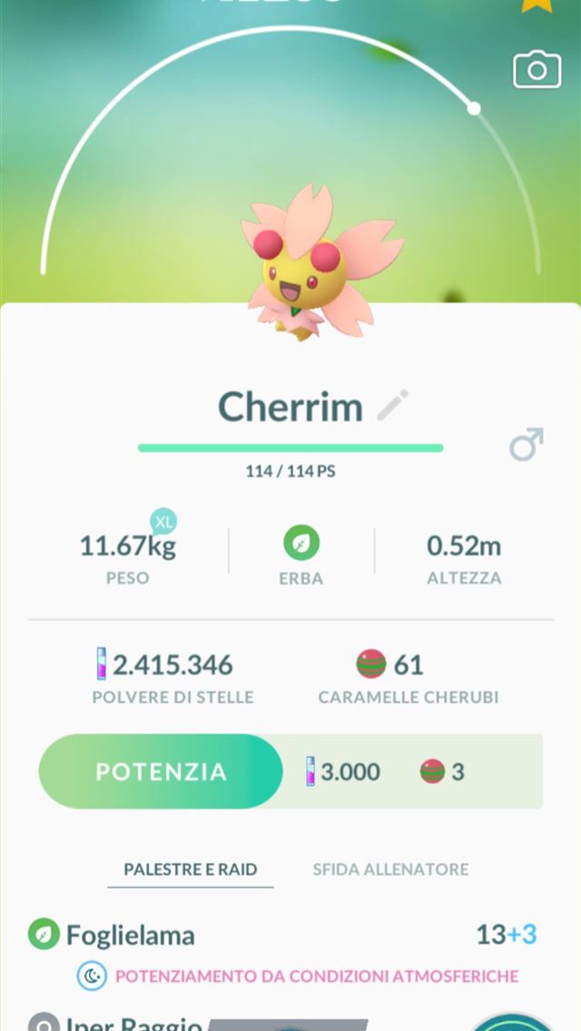 1284x2778 cherrim hd - cherrim hd iPhone Wallpaper