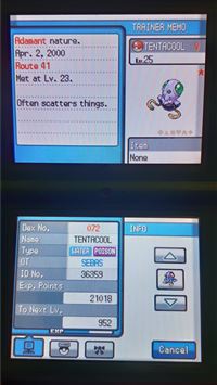 tentacool hd wallpaper