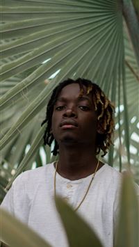 african palm civet wallpaper