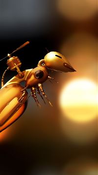 carpenter ant wallpaper