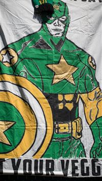 portland timbers wallpaper