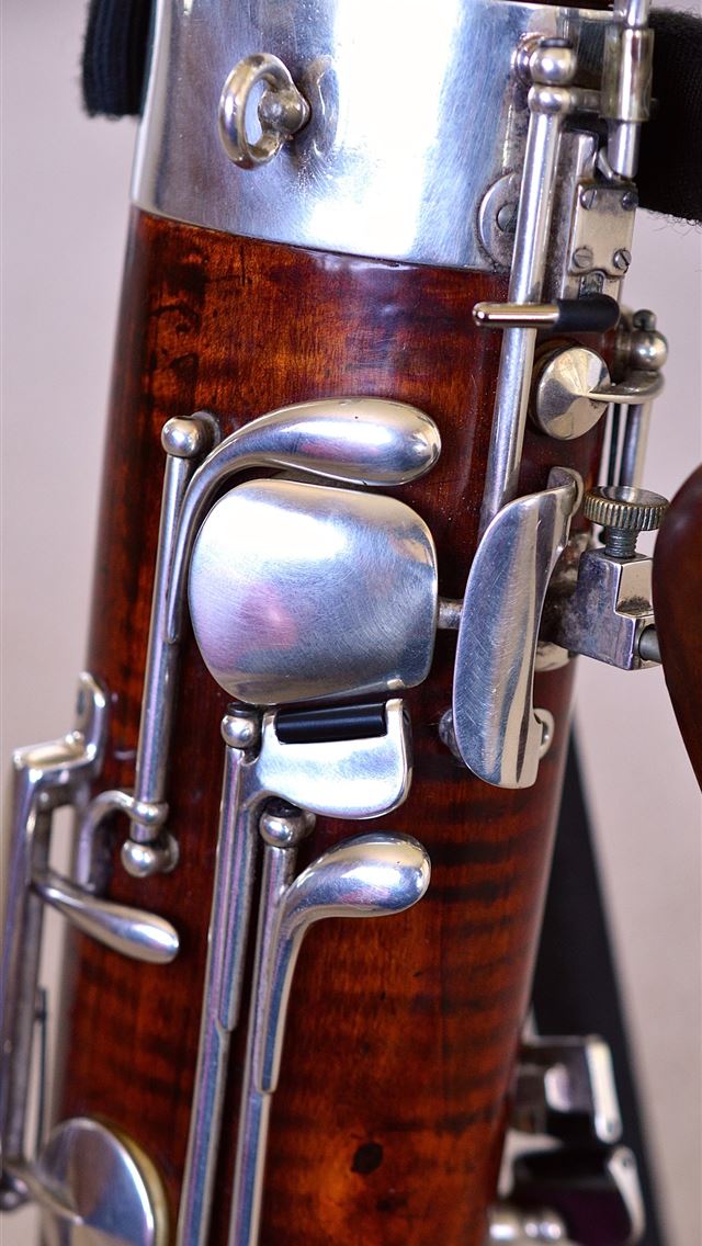 1284x2778 bassoon - bassoon iPhone Wallpaper
