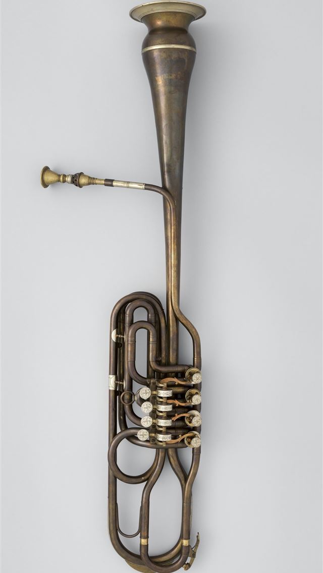 1284x2778 bassoon - bassoon iPhone Wallpaper