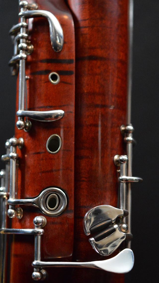 1284x2778 bassoon - bassoon iPhone Wallpaper
