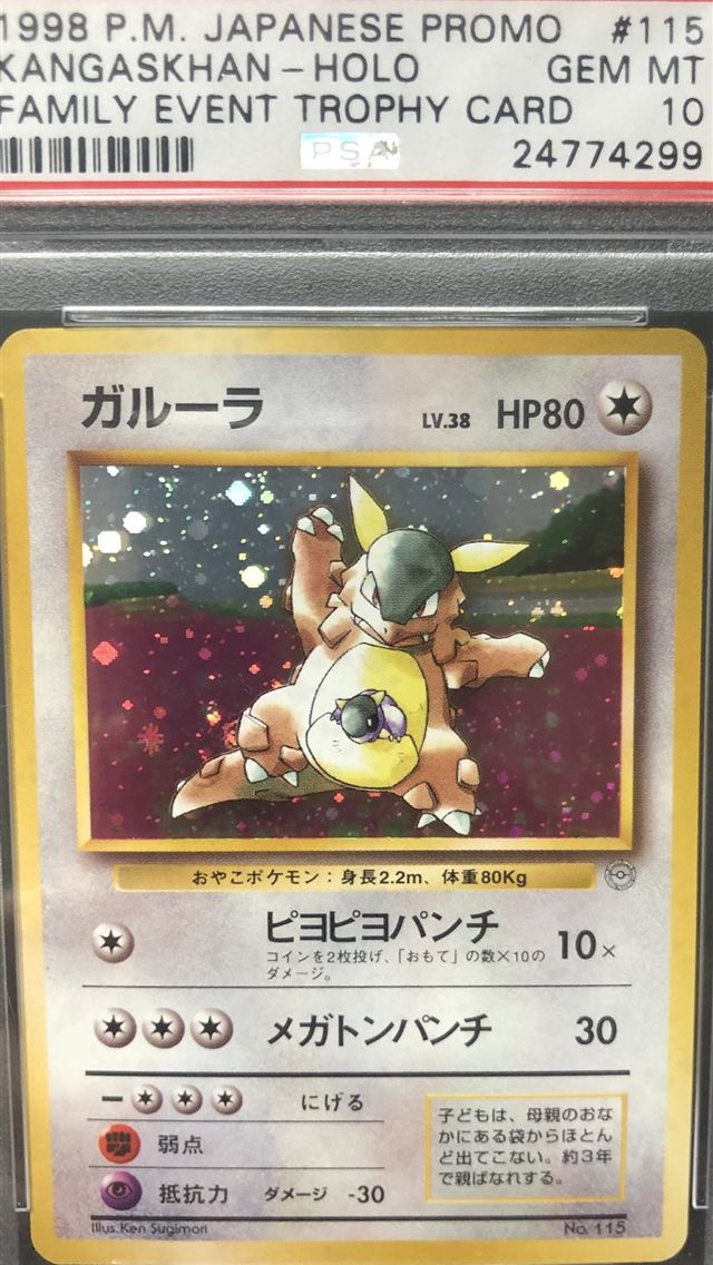 1284x2778 hitmonlee hd - hitmonlee hd iPhone Wallpaper