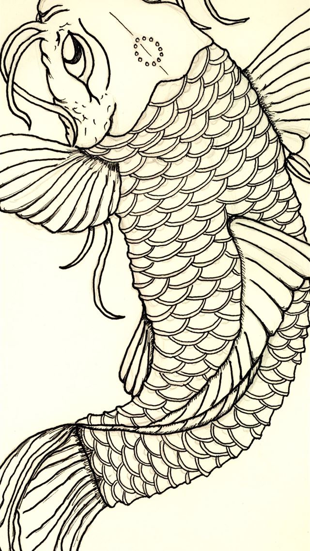 1284x2778 common carp - common carp iPhone Wallpaper