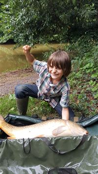 common carp wallpaper