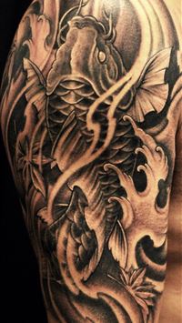 common carp wallpaper