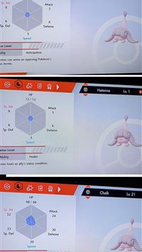 maractus hd wallpaper