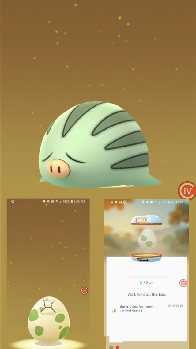 1284x2778 swinub hd - swinub hd iPhone Wallpaper