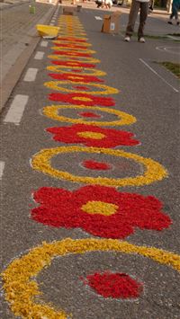 corpus christi wallpaper