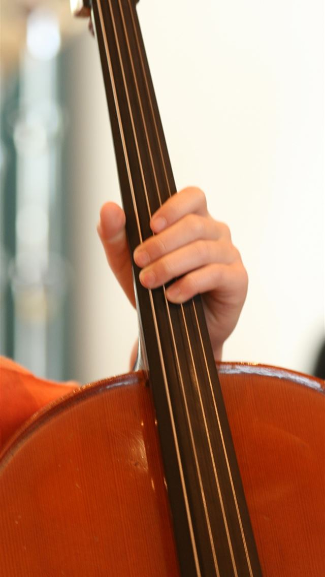 1284x2778 recorder instrument - recorder instrument iPhone Wallpaper