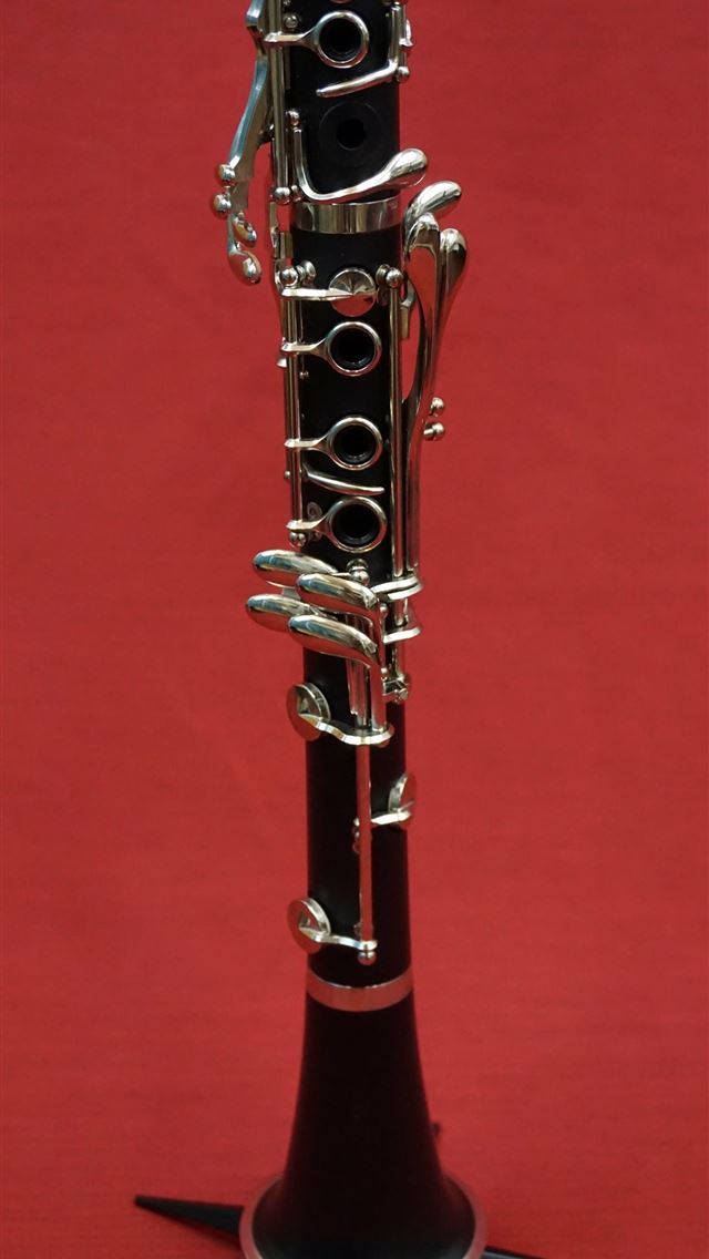 1284x2778 oboe - oboe iPhone Wallpaper