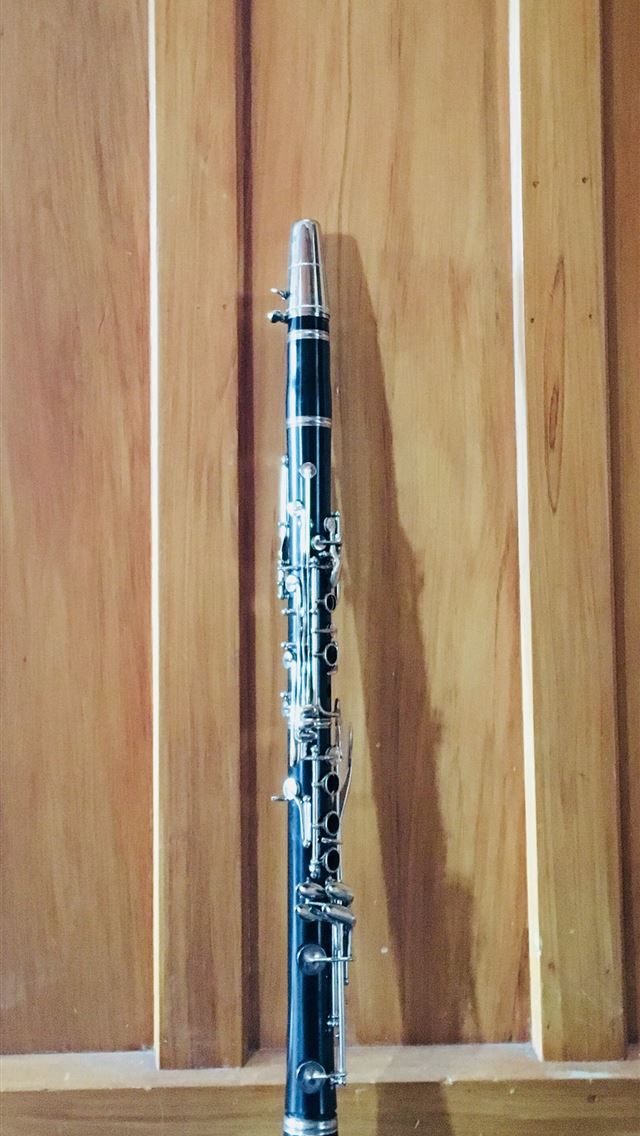 1284x2778 oboe - oboe iPhone Wallpaper