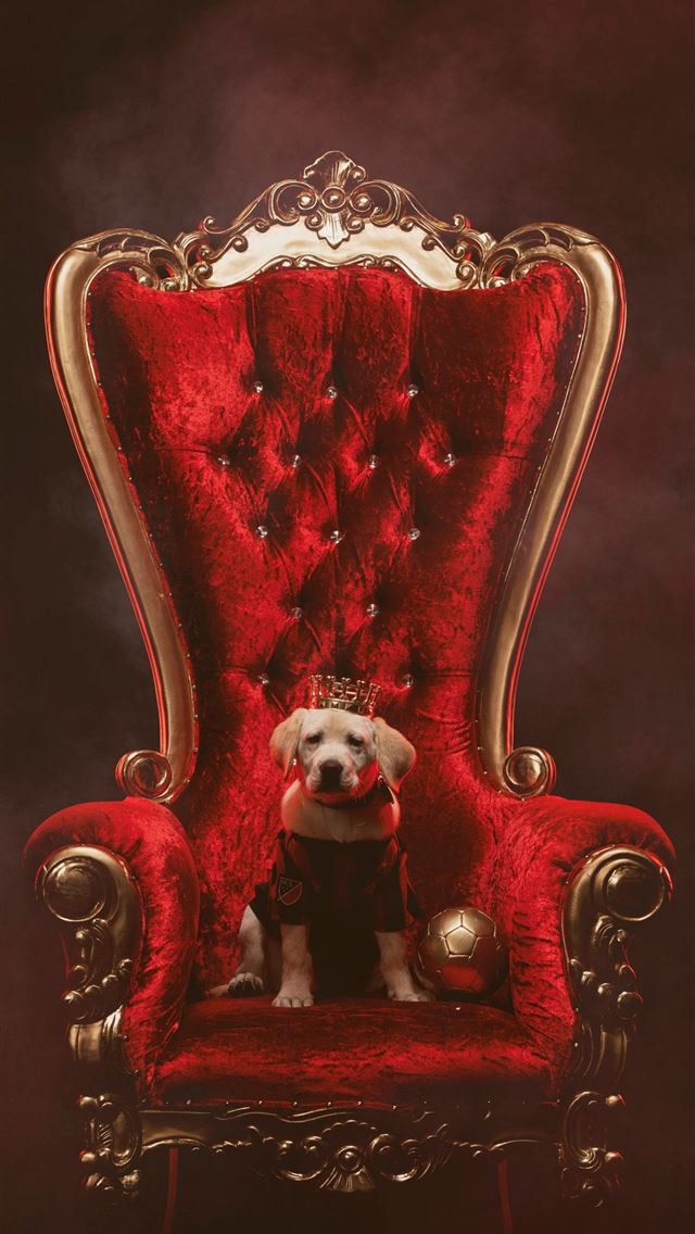 1284x2778 atlanta united fc - atlanta united fc iPhone Wallpaper