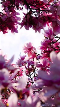 tropical punch zoey fortnite wallpaper