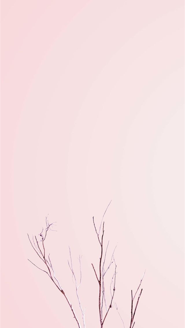 1284x2778 tropical punch zoey fortnite - tropical punch zoey fortnite iPhone Wallpaper